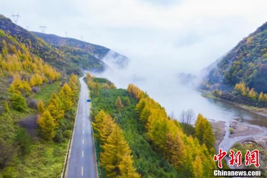 【大众报业·海报新闻】橙黄橘绿 秋日的六盘山景色绚丽