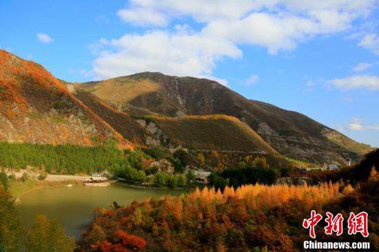 【大众报业·海报新闻】橙黄橘绿 秋日的六盘山景色绚丽