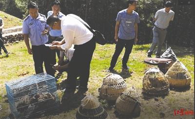 成都商报|起命案牵出的买卖野生动物大案，濒危动物上餐桌