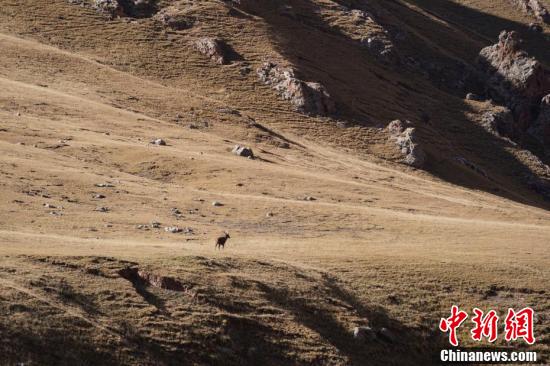 【中国新闻周刊】探秘澜沧江源 体验如画风景