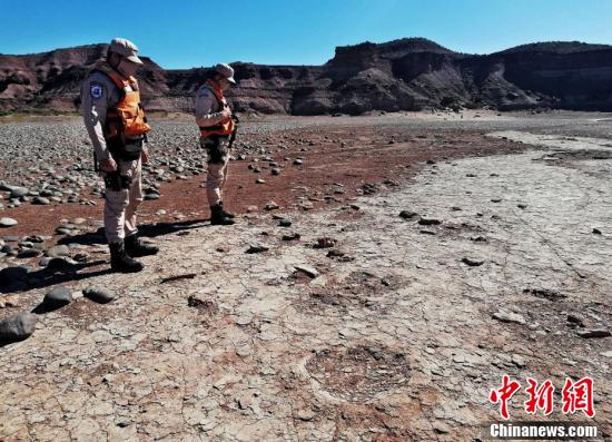 【中国新闻网】阿根廷大坝水位降低 湖岸出现恐龙脚印