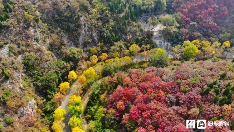 大众报业·海报新闻|叮咚！山东“最美公路”自驾攻略请注意查收