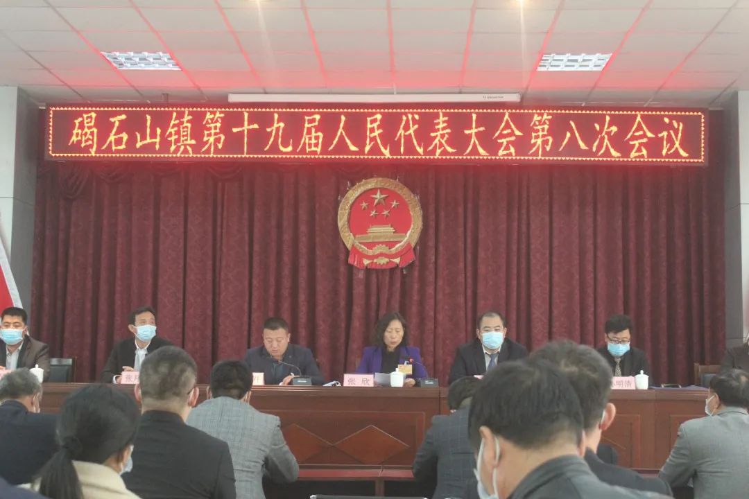 无棣县碣石山镇第十九届人民代表大会第八次会议胜利召开