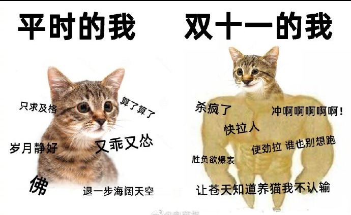 大众报业·海报新闻|去年盖楼今年养猫，天猫“双11”想薅谁的羊毛？