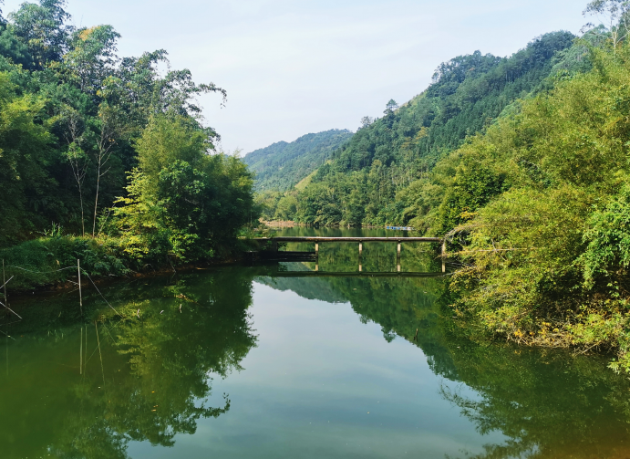 他们在广西大山里耕耘茶园，也在孩子的心中播种梦想