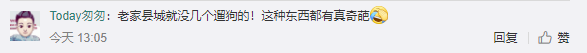 微信公众号“春城晚报”|云南昭通威信县规定城区禁止遛狗，违反三次捕杀