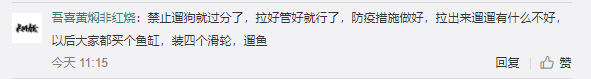 微信公众号“春城晚报”|云南昭通威信县规定城区禁止遛狗，违反三次捕杀