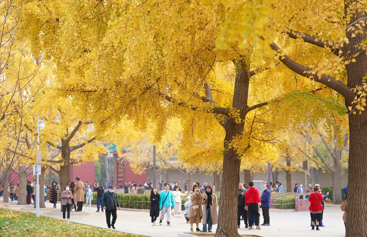 北京日报|初冬地坛公园赏美景