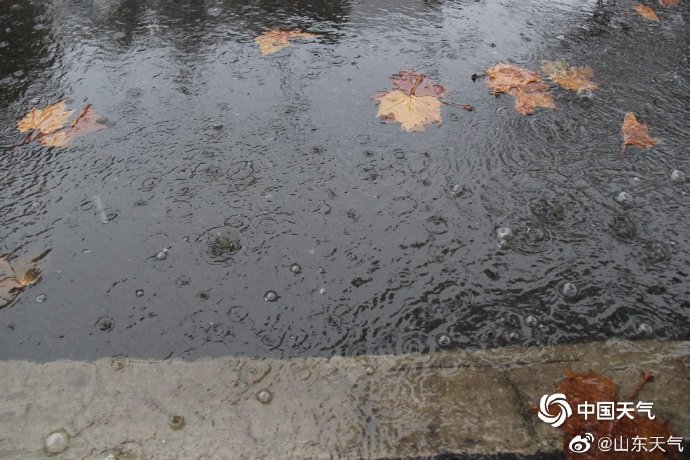 大众报业·海报新闻|山东发布寒潮预警！降雨过后部分地区最低气温降到0℃以下