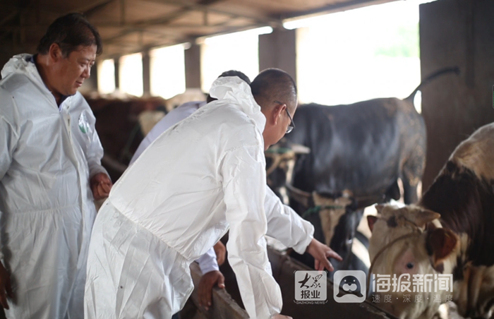 致富农民的心理_农民致富经_致富农民来谢恩