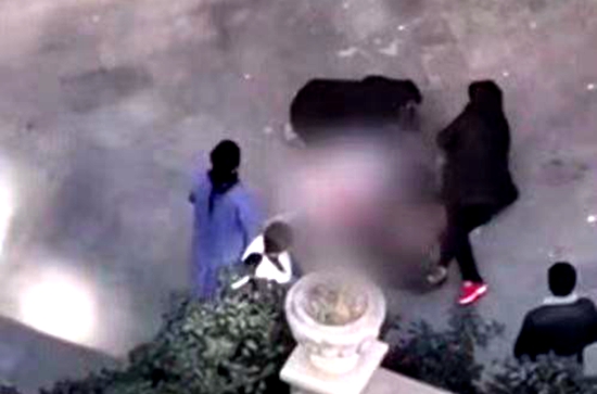 江苏扬州11岁女孩19楼坠亡 疑因作业问题与家长争吵