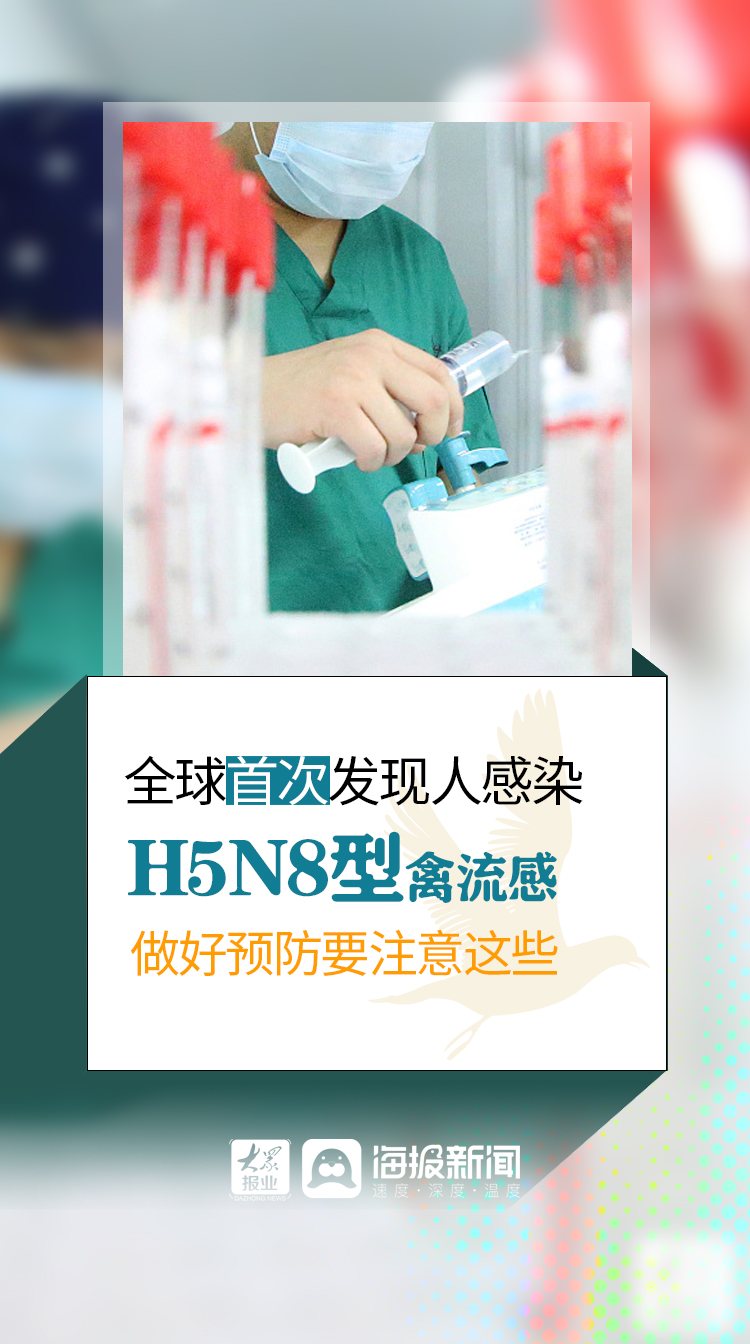 微海报丨全球首次发现人感染H5N8型禽流感 做好预防要注意这些