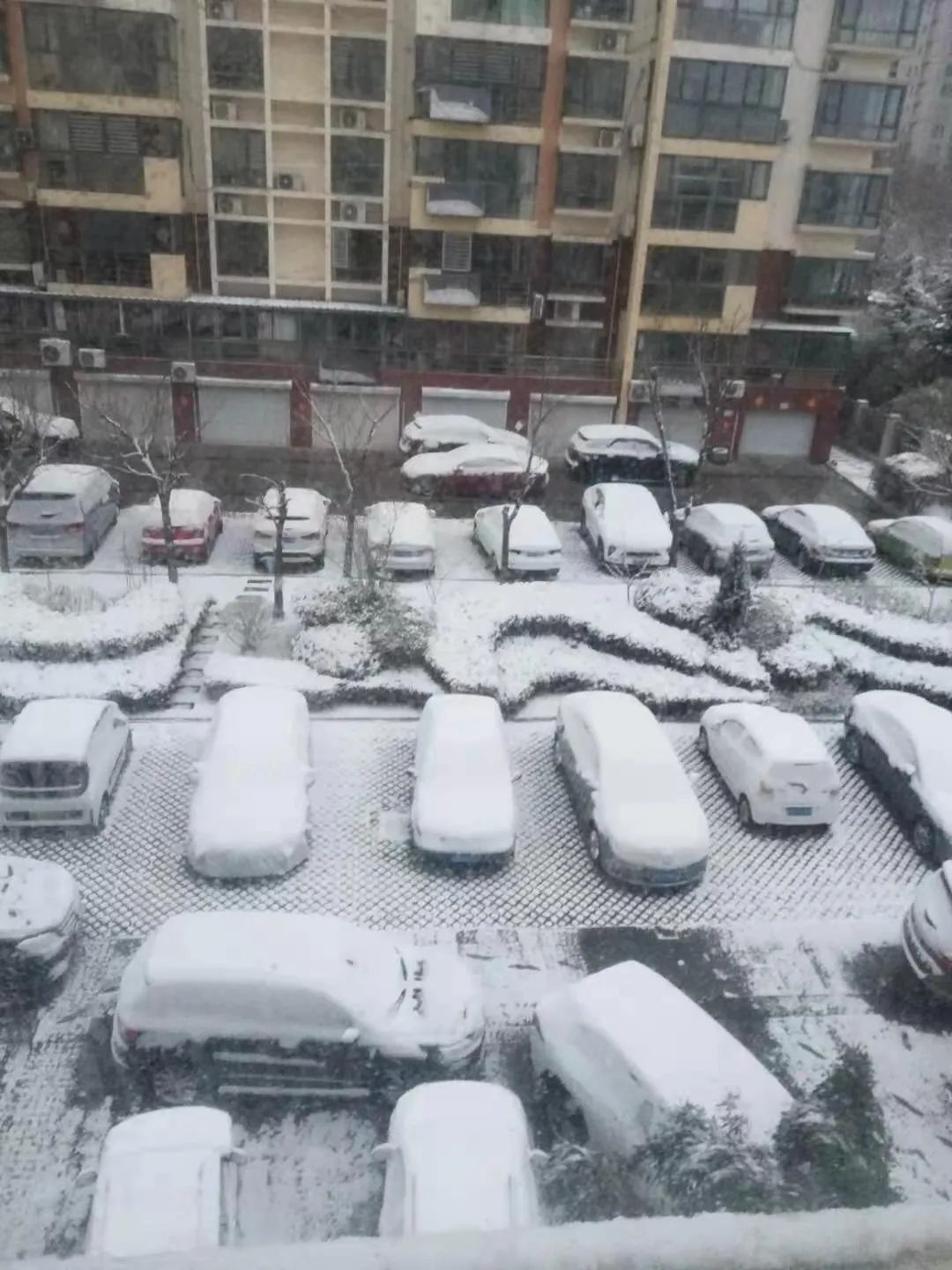 下雪!下冰雹!山東大範圍雨雪天來襲!秋褲棉襖繼續穿起來!