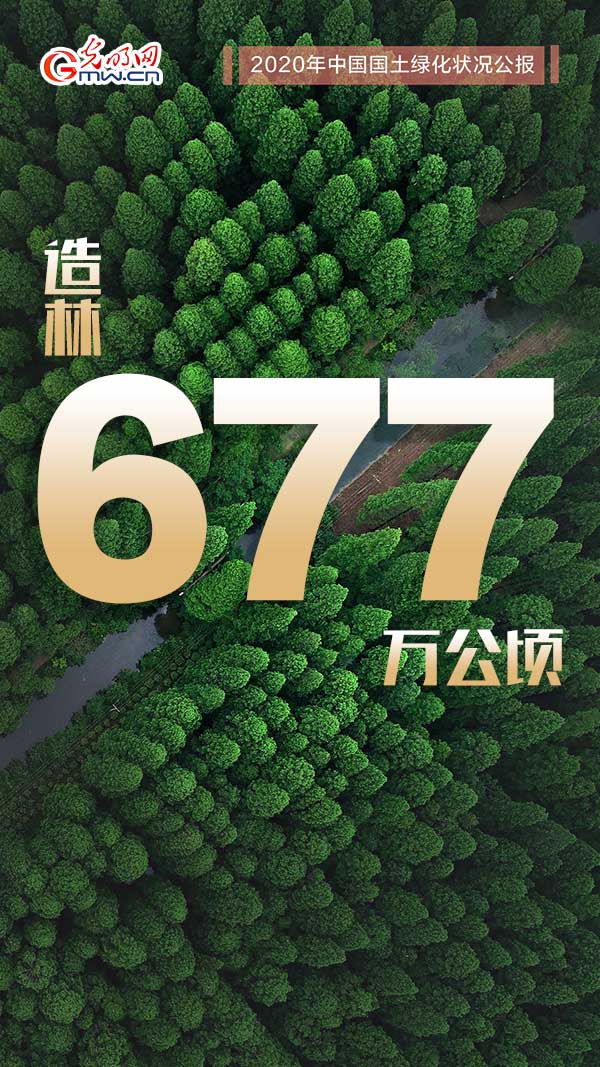 植树节海报 | 2020年中国国土绿化“成绩单”请查收！