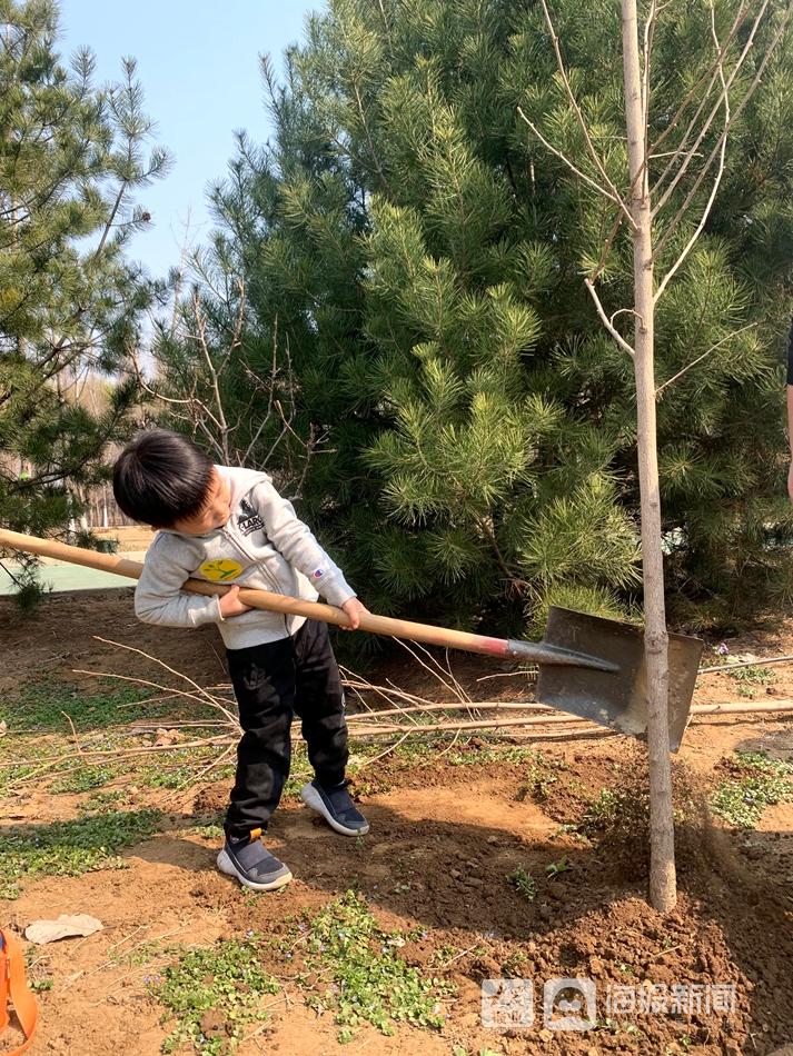 植树图片大全小朋友图片