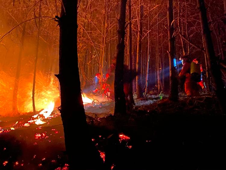 云南昆明盘龙发生山火，驻地森林消防队伍正紧急扑救
