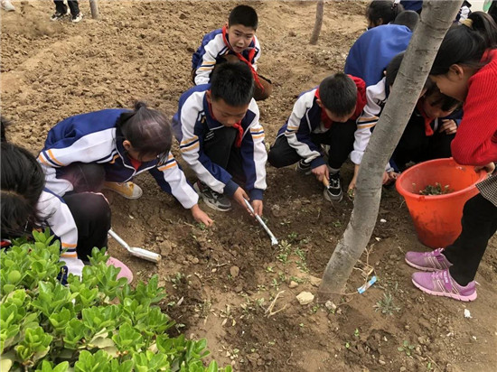 一畦一世界一米一春秋坊子區馬司小學校園勞動教育實踐基地開園啦