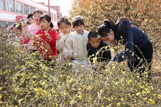 山東省東營市利津縣第一實驗幼兒園:植物園裡尋找春天的秘密