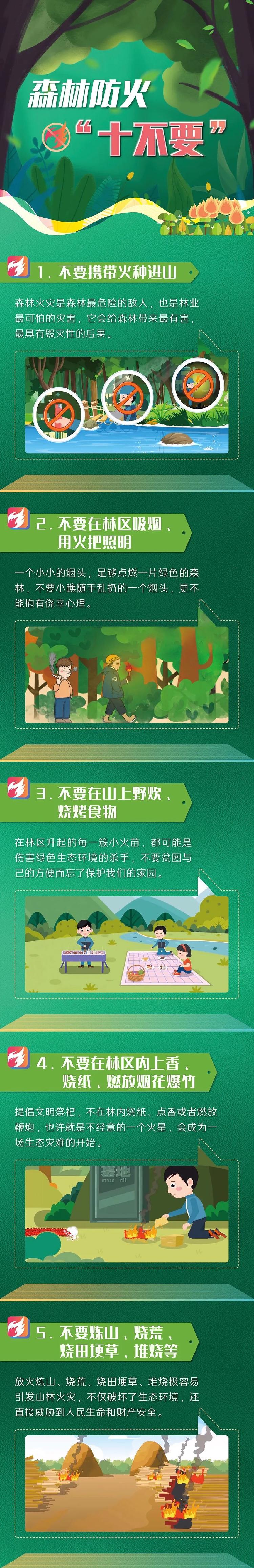 应急科普丨森林防火“十不要”