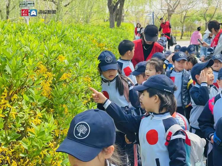 幼儿园春游踏青美篇图片