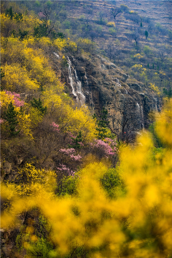 地址:山東省淄博市淄川區太河鎮潭溪山旅遊度假區溫馨提示:修路期間