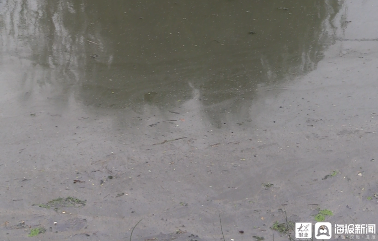 每天4.5万吨污水直排 云南省保山市 “母亲河”沦为“纳污河”