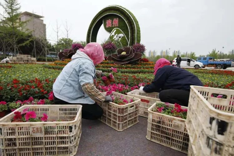 市公用事业服务中心"五一"节庆摆花进行中