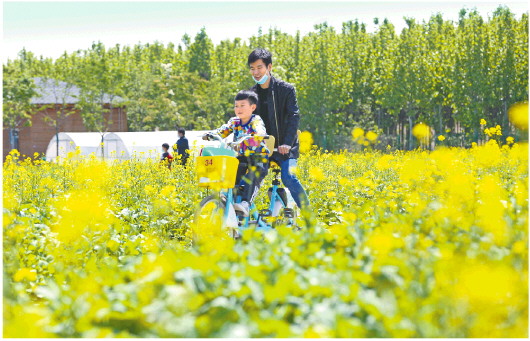 5月2日，遊客在鄒平市供銷·蝶戀谷景區賞花遊玩。□通訊員 霍廣 報道
