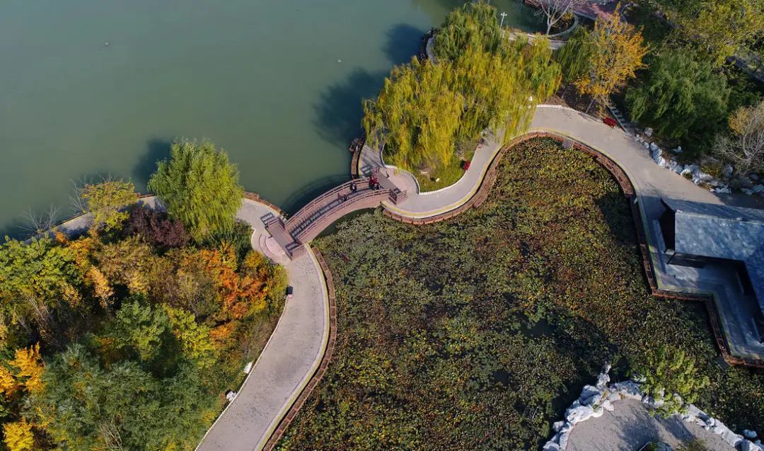 滨州秦皇河湿地公园图片