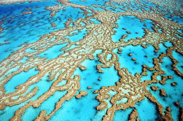 联合国考虑把大堡礁列为“濒危世界遗产” 澳政府被批做得不够