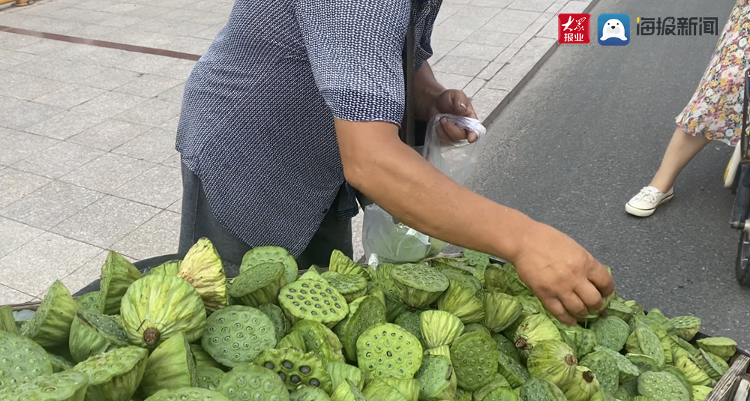 一年一次的新鲜味道 青岛即墨街头又见卖莲蓬