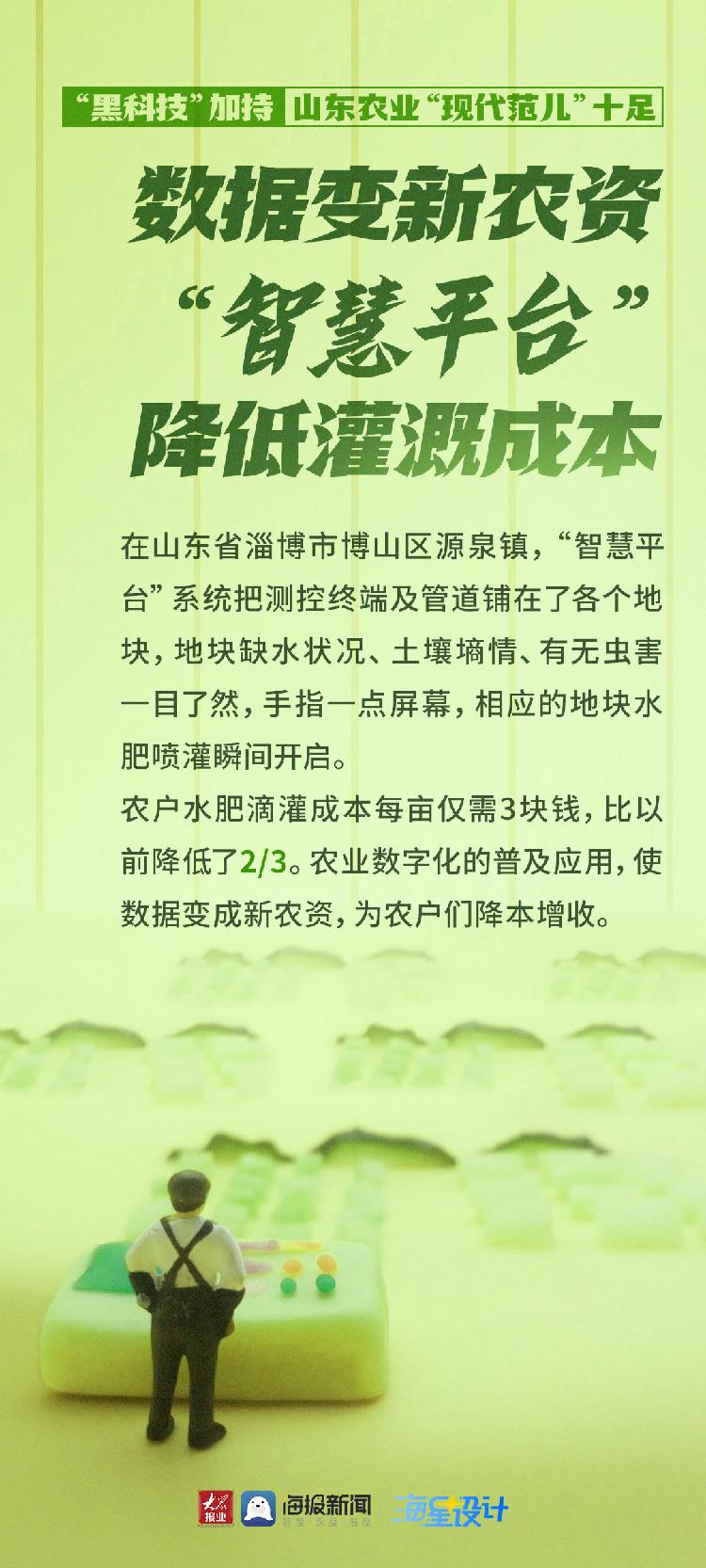 这就是山东丨丰收哪里来