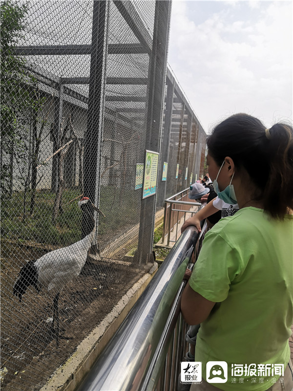 烟台南山动物园图片