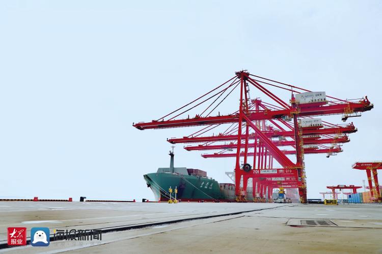 全球首个顺岸开放式全自动化集装箱码头重磅落地山东港口日照港 