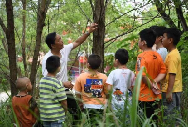 20年帮600多名听障儿童开口说话 一位语言康复师的“聋童不哑”行动