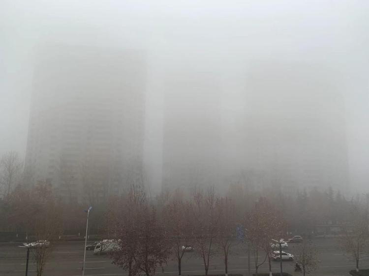 山东发布大雾橙色预警信号 局地能见度不足50米