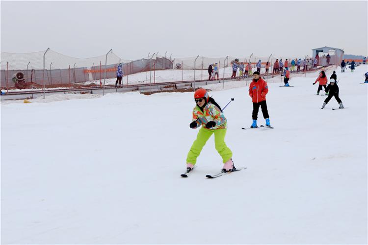 谈球吧体育冰雪助冬奥 济南市冰雪项目教练员培训举办_教育要闻_大众网(图5)