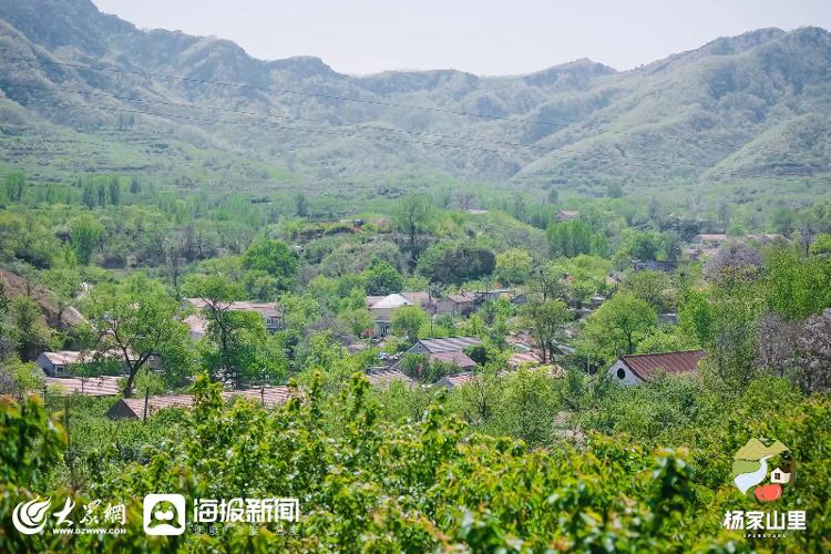 楊家山裡田園綜合體:打造鄉村振興齊魯樣板青島標杆