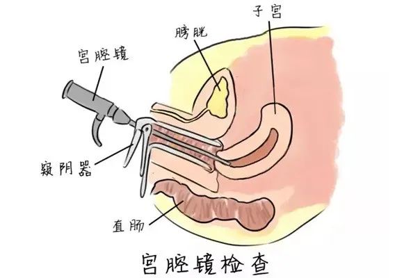 潍坊市人民医院生殖科医生的黄金瞳