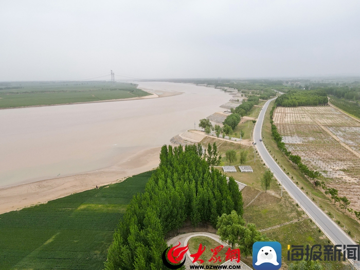 黄河入鲁第一县四月的菏泽东明沿黄风景美如画