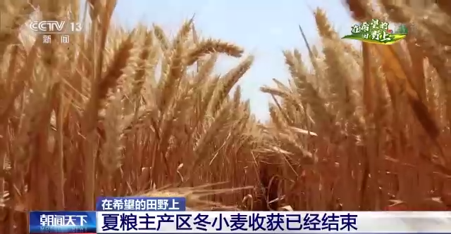 夏粮主产区冬小麦收获已经停止 今世科技保障食粮稳产提质
