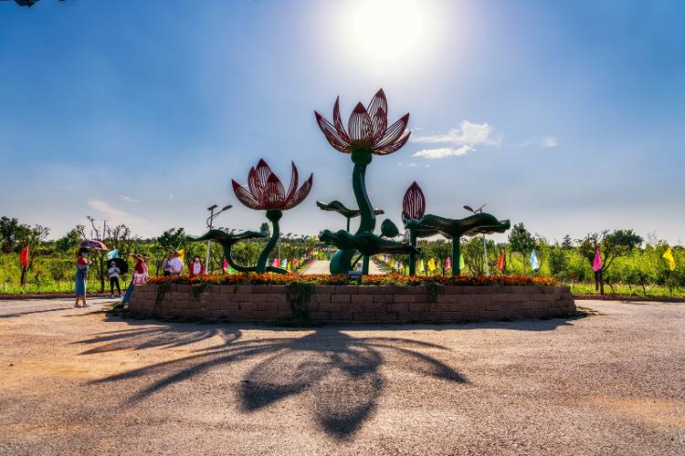 十佳旅游露营地昌乐莲花山房车露营地