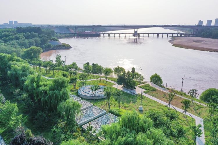 济南黄河堤坝化身河畔公园