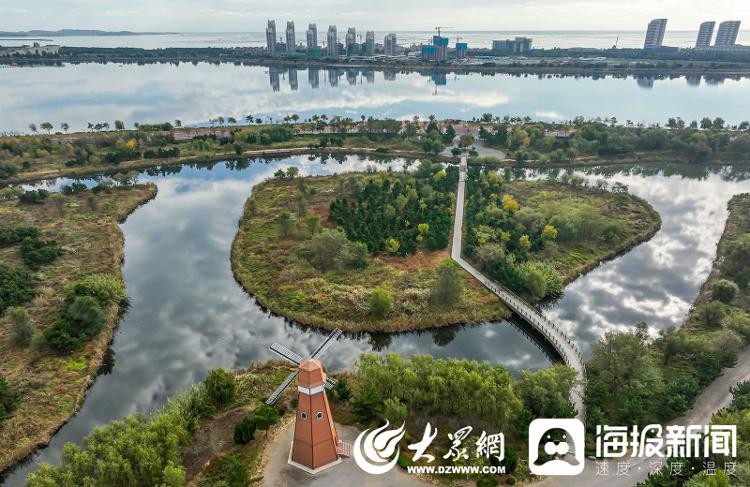 桑沟湾湿地公园图片