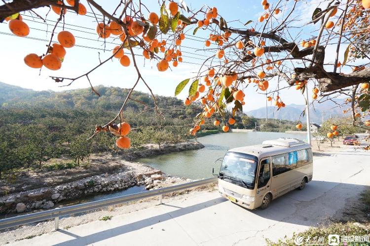 济南“扶贫公交”开进山村 成了山区村民的“致富线”