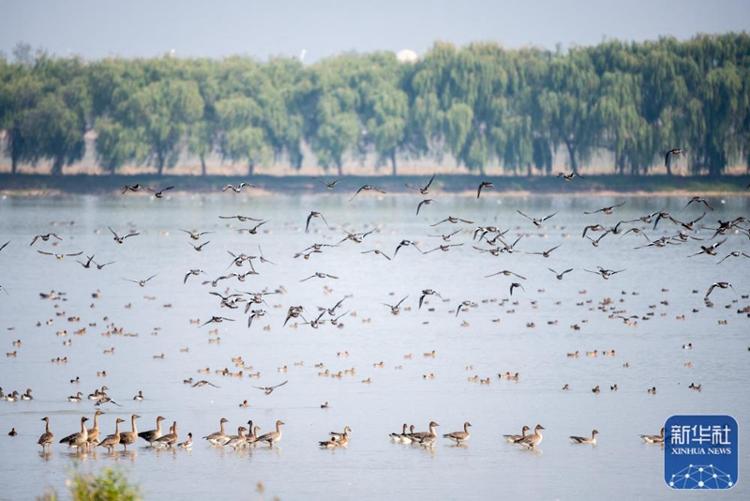 通讯：国际湿地展上中国湿地保护成就令人瞩目