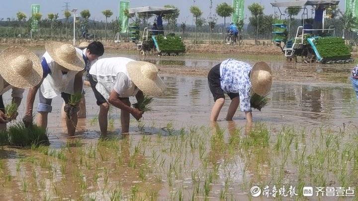 擦亮乡村文化名片！济南市探索原生态文化融合村庄建设