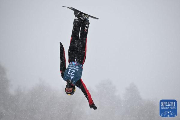 自由式滑雪世锦赛：杨龙啸获得空中技巧季军