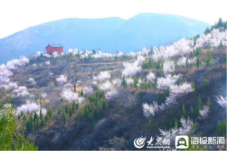 青州王坟镇旅游景点图片