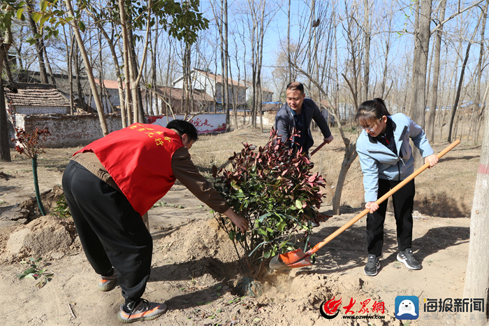 单县高韦庄镇:争做生态文明建设的实践者,推动者_单县_大众网菏泽